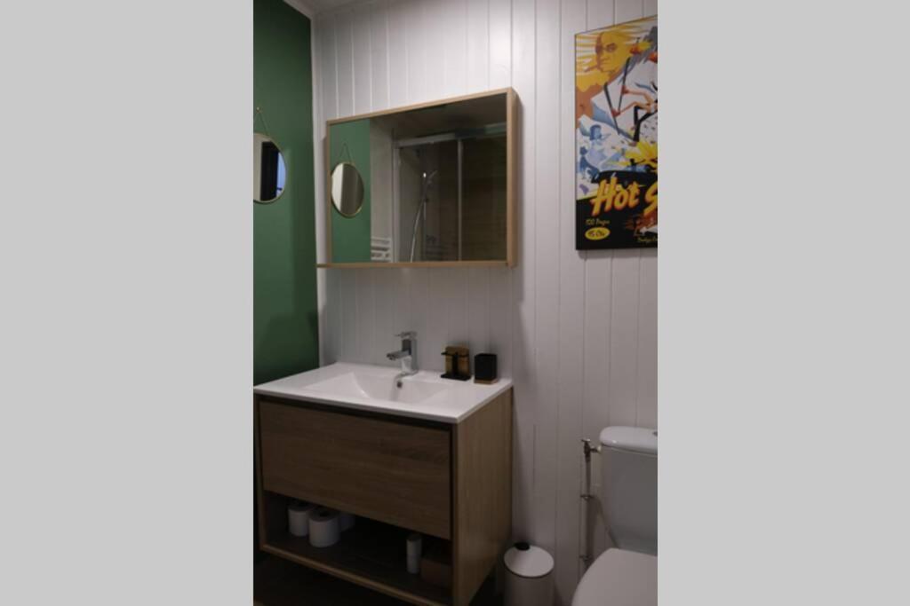 Apartament Studio Chaleureux Chamonix Centre Zewnętrze zdjęcie